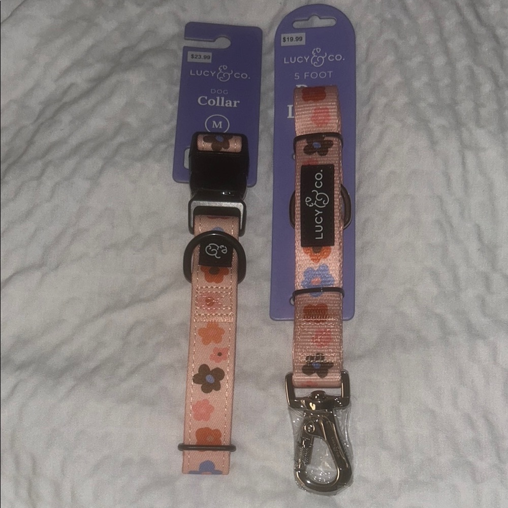 Lucy & Co. Let’s Groove Dog Collar and Leash Set (M)
